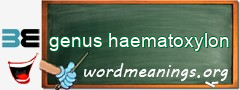 WordMeaning blackboard for genus haematoxylon